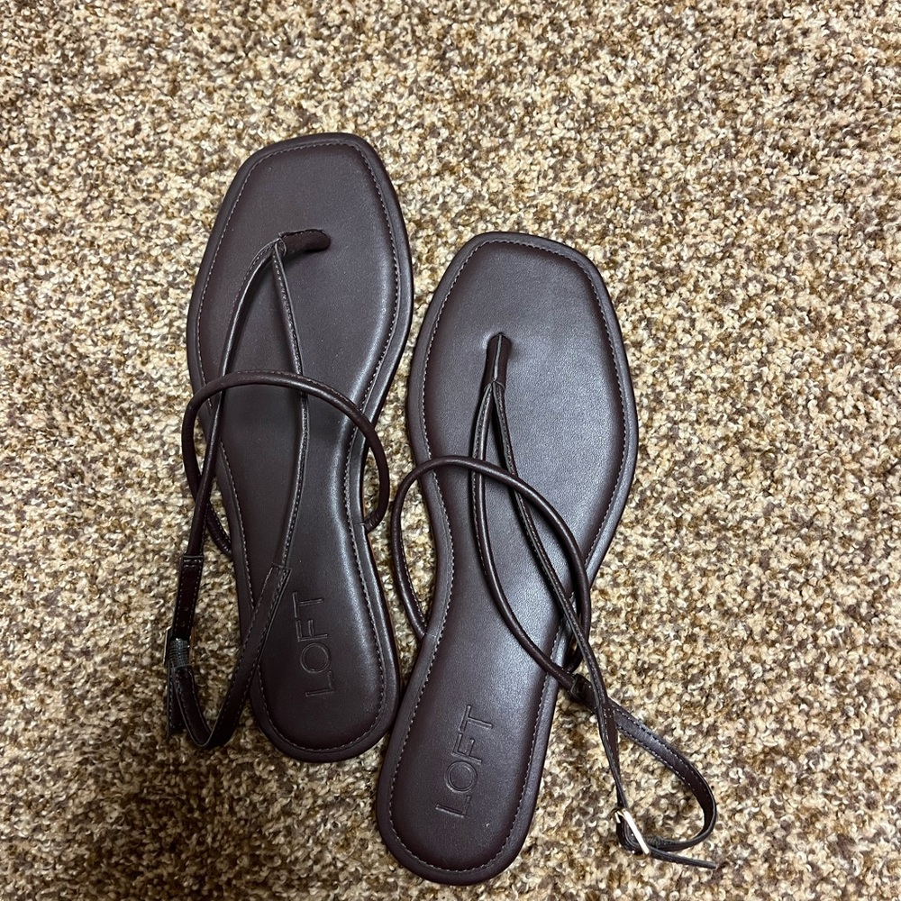 LOFT Dark Brown Women's Sandals